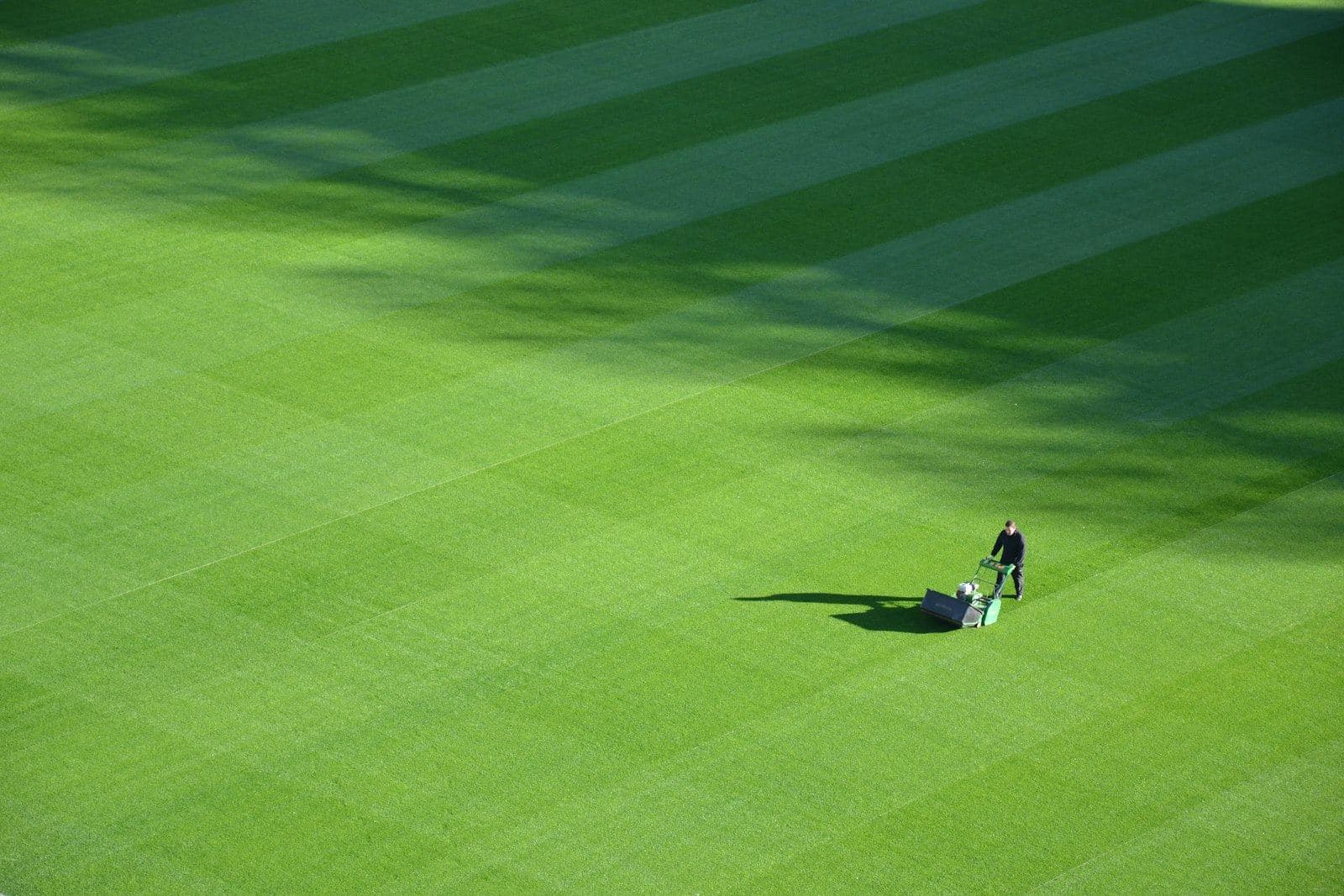 Freshly striped lawn maintained by the Oasis team